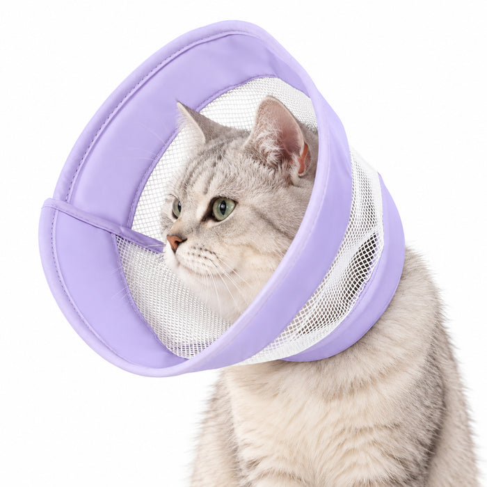 Chat gris tigré portant la collerette respirante violette, avec ses panneaux de maille blanche