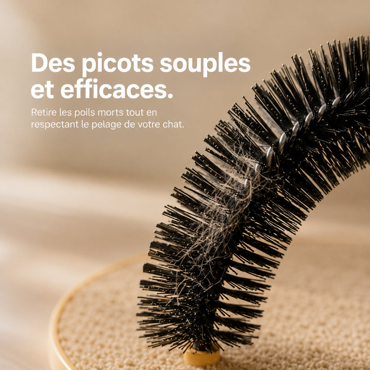 Gros plan sur les picots en nylon souple qui tapissent l'intérieur de l'arche