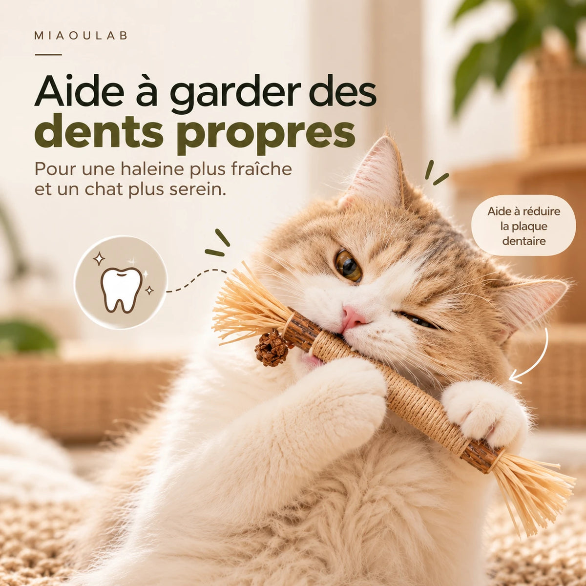 Chat qui mord le bâton à mâcher : aide à garder des dents propres et à réduire la plaque dentaire