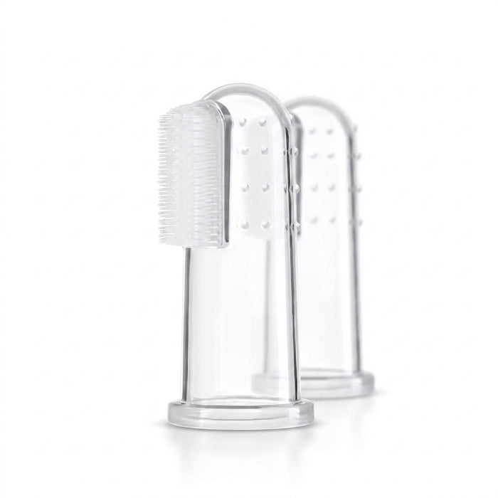 Doigtiers dentaires MiaouLab en silicone transparent, sur leur support