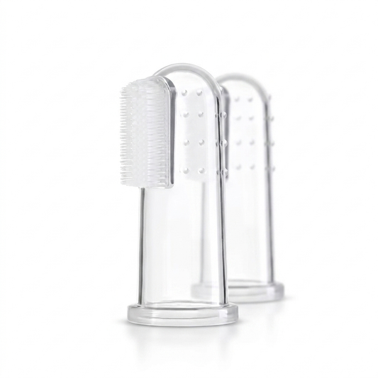 Doigtiers dentaires MiaouLab en silicone transparent, sur leur support