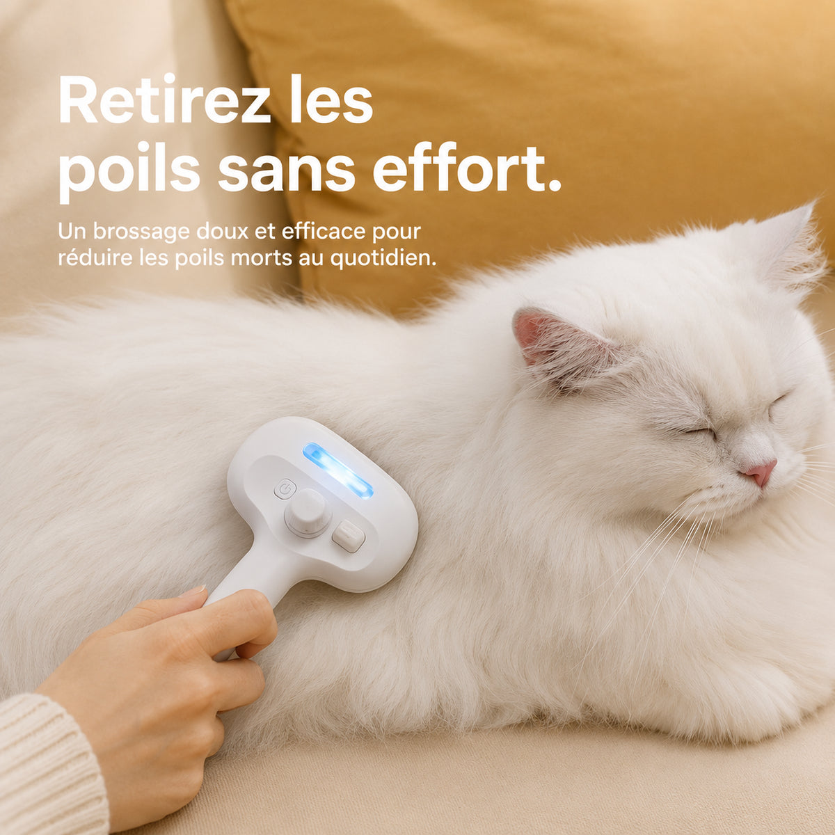 Brosse vapeur passée sur le dos d'un chat blanc allongé