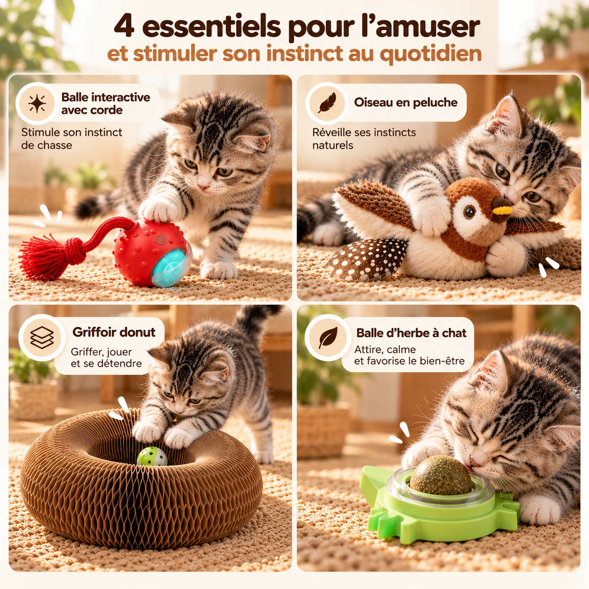 Les quatre jouets en usage : la balle à corde, l'oiseau en peluche mordillé, le griffoir donut et sa balle, et la boule d'herbe à chat léchée
