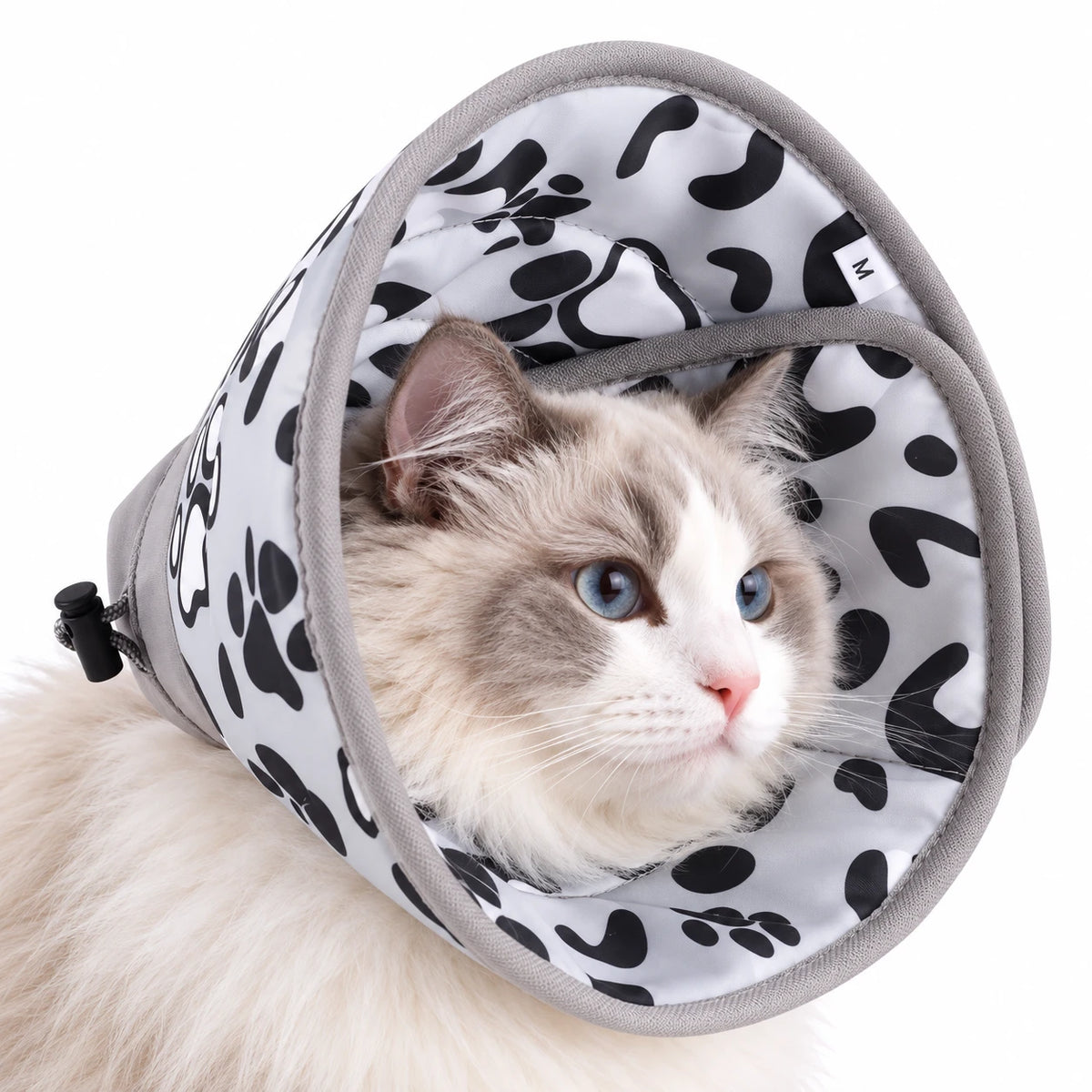 Collerette en tissu blanc à taches noires et empreintes de pattes, portée par un chat aux yeux bleus