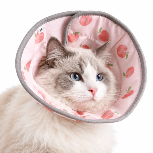 Chat aux yeux bleus portant une collerette en tissu rose à motif de pêches, bordée de gris