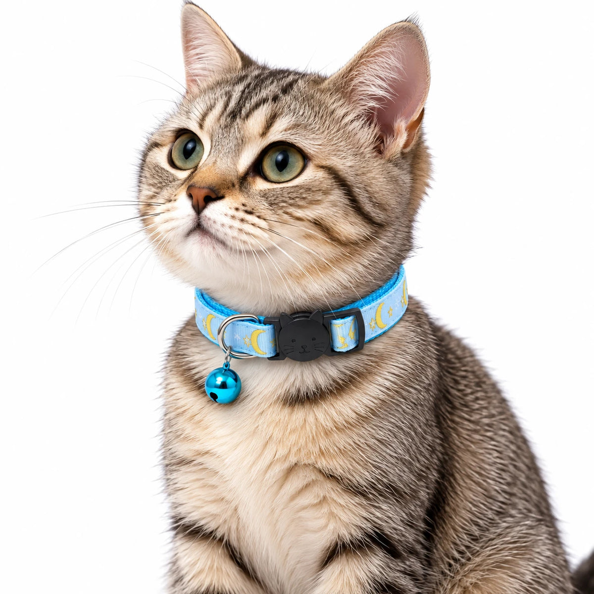 Chat tigré portant le collier anti-étranglement bleu ciel à motifs lune et étoiles, avec son grelot bleu