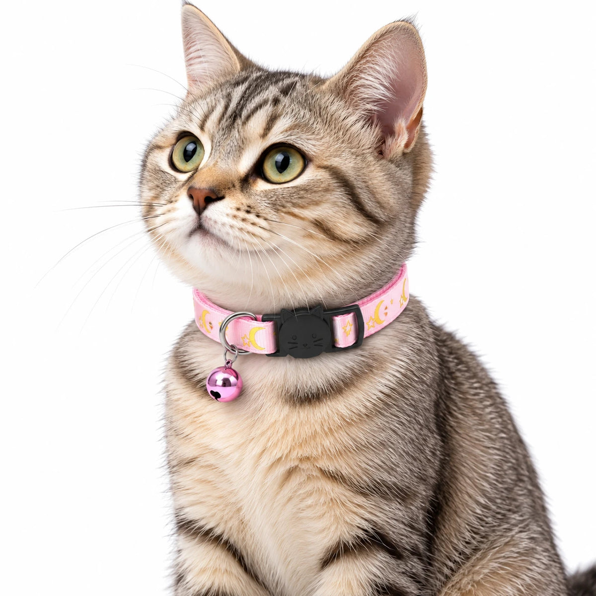 Chat tigré portant le collier anti-étranglement rose à motifs lune et étoiles, avec son grelot rose