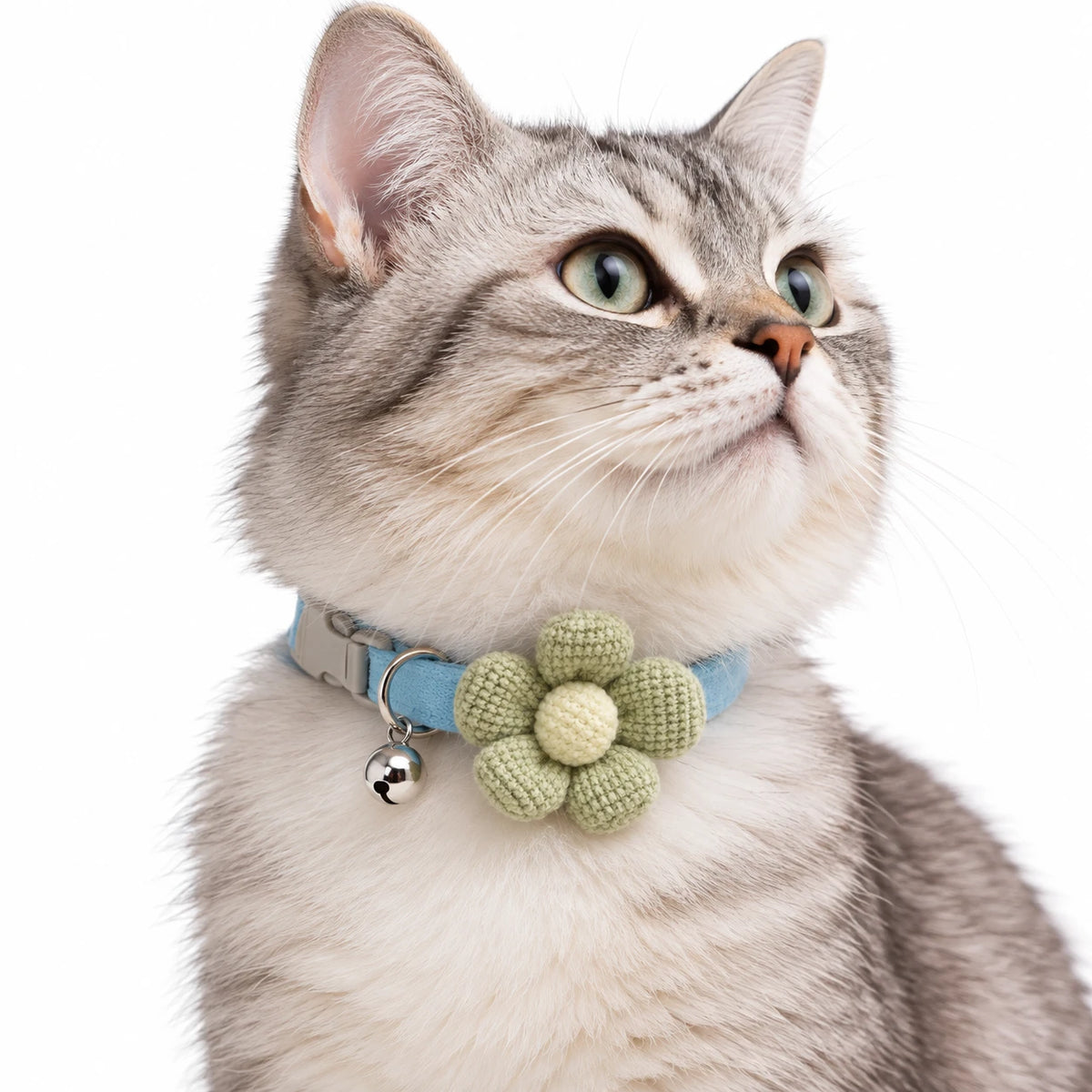 Chat gris tigré portant le collier bleu à grande fleur en maille verte et son grelot argenté