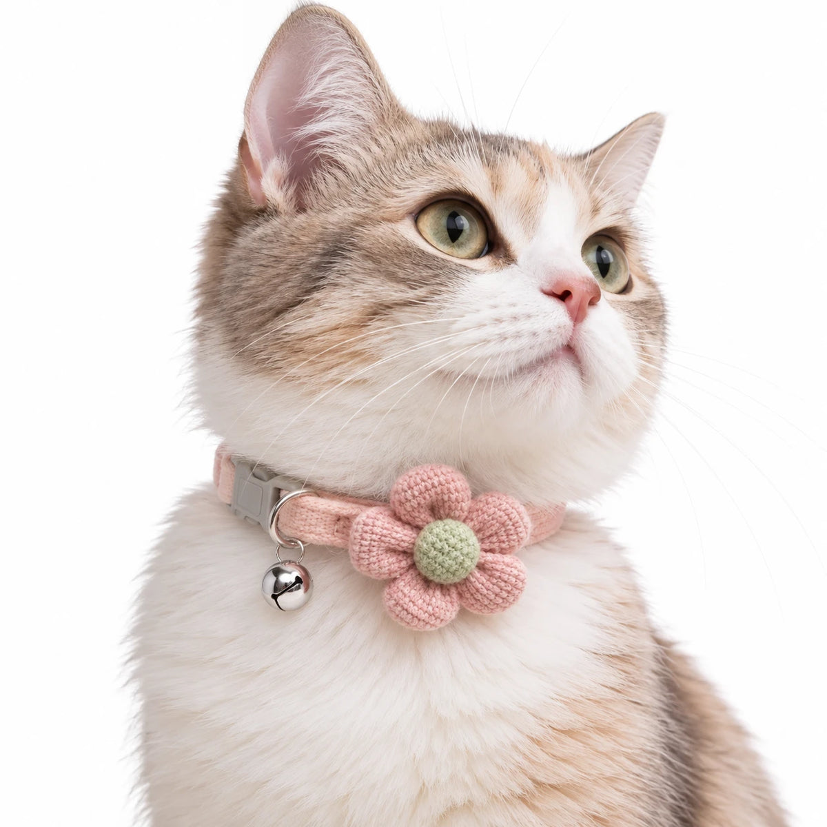 Chat roux et blanc portant le collier rose à grande fleur en maille et son grelot argenté