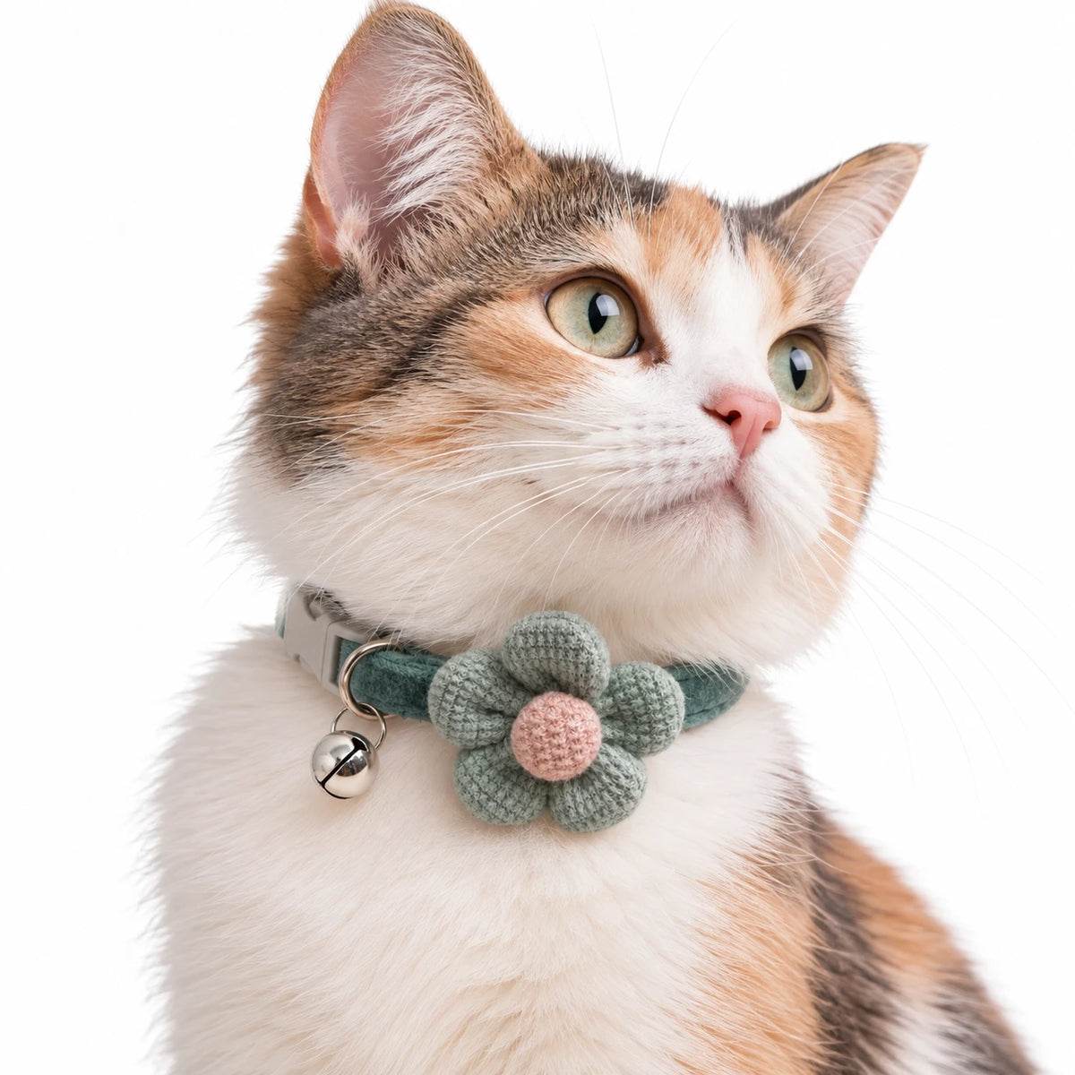 Chat tricolore portant le collier vert à grande fleur en maille et son grelot argenté