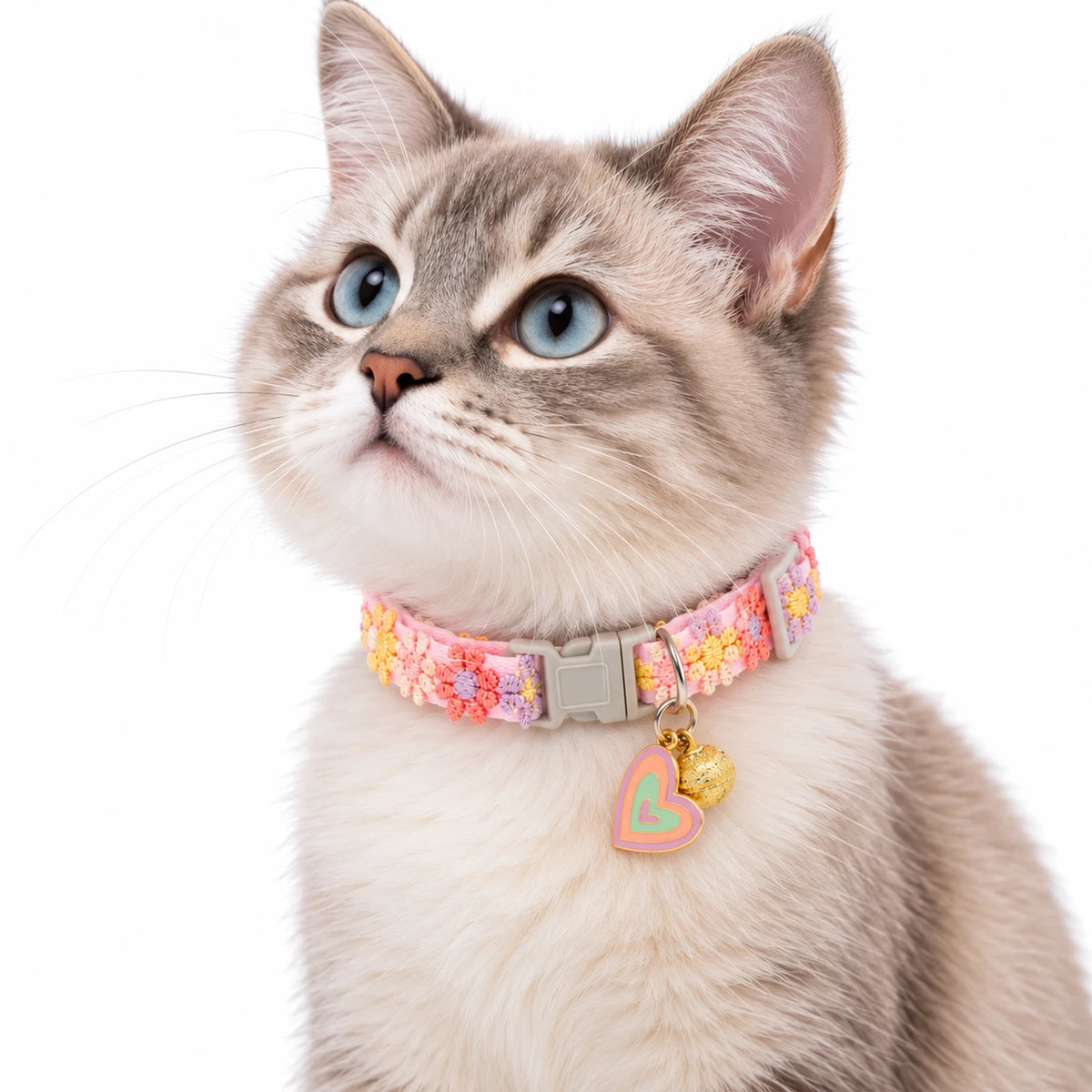 Chat aux yeux bleus portant le collier à fleurs tissées rose et jaune, avec son pendentif cœur et son grelot doré