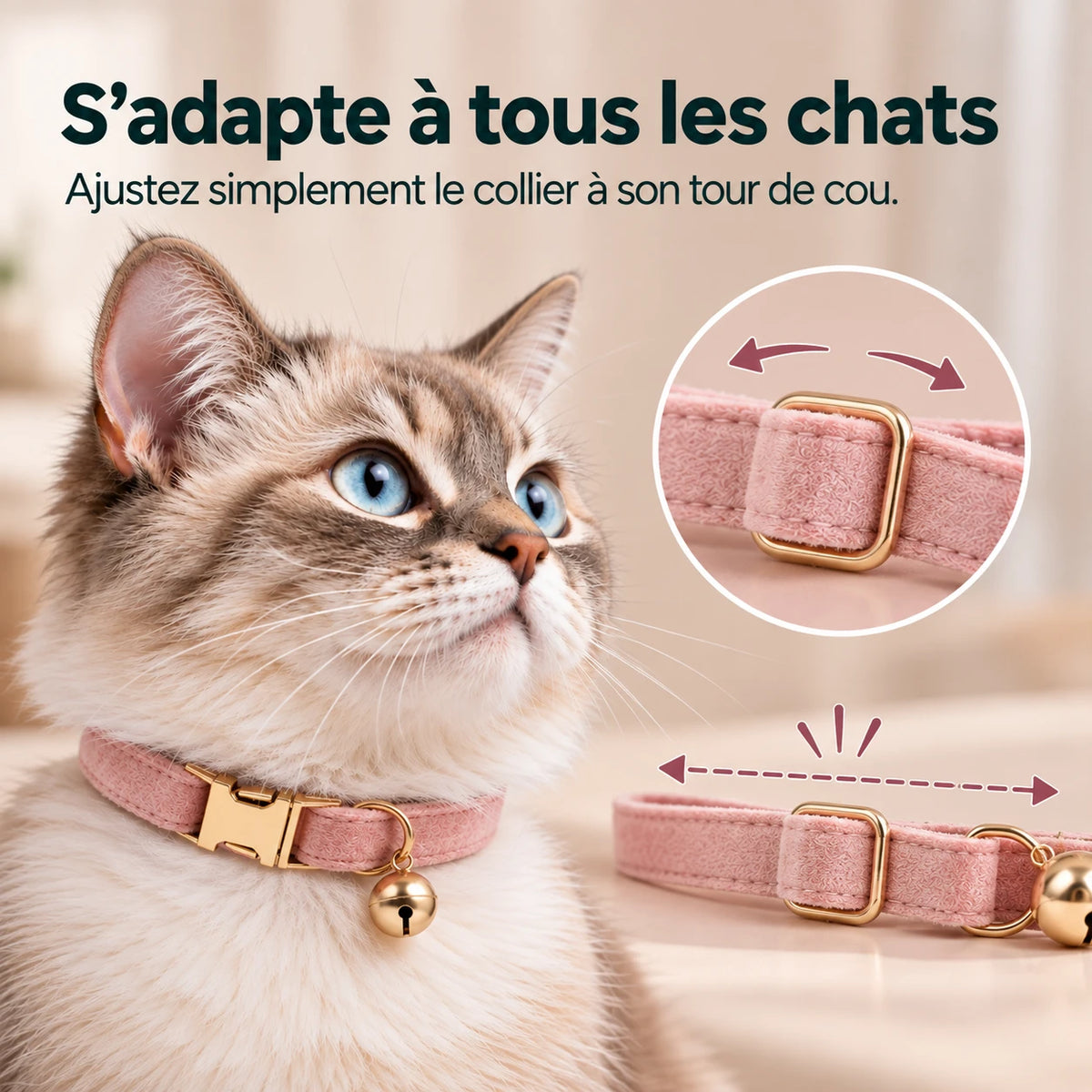 Passant doré du collier rose, qui règle la longueur au tour de cou du chat