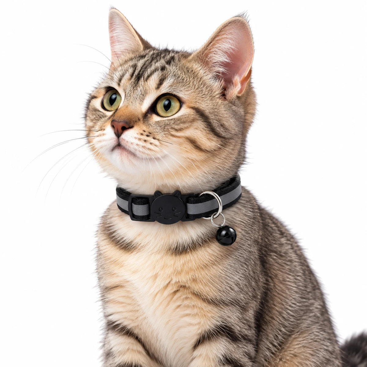 Collier réfléchissant pour chat en noir, porté par un chat tigré, grelot noir assorti