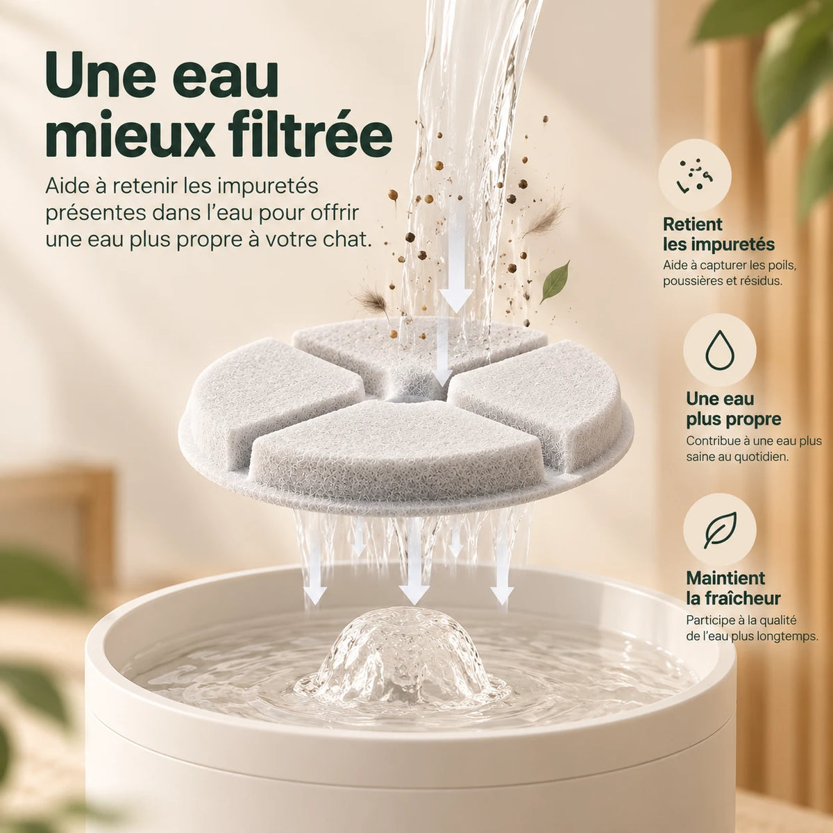 Infographie : l’eau traverse le filtre, qui retient poils, poussières et résidus