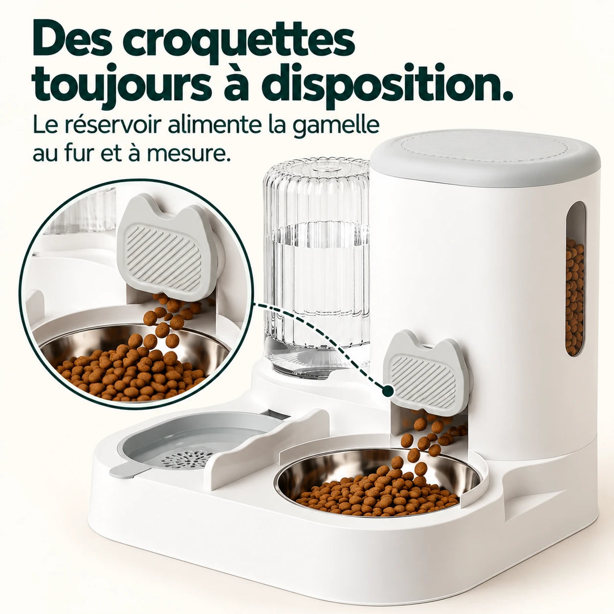 Les croquettes descendent du réservoir vers la coupe en inox