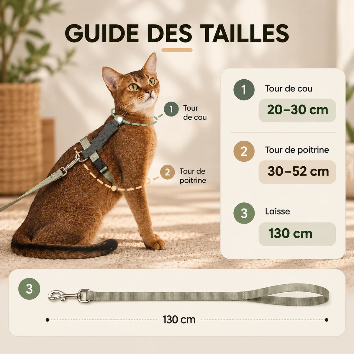 Où mesurer le tour de cou et le tour de poitrine : 20 à 30 cm et 30 à 52 cm, laisse de 130 cm