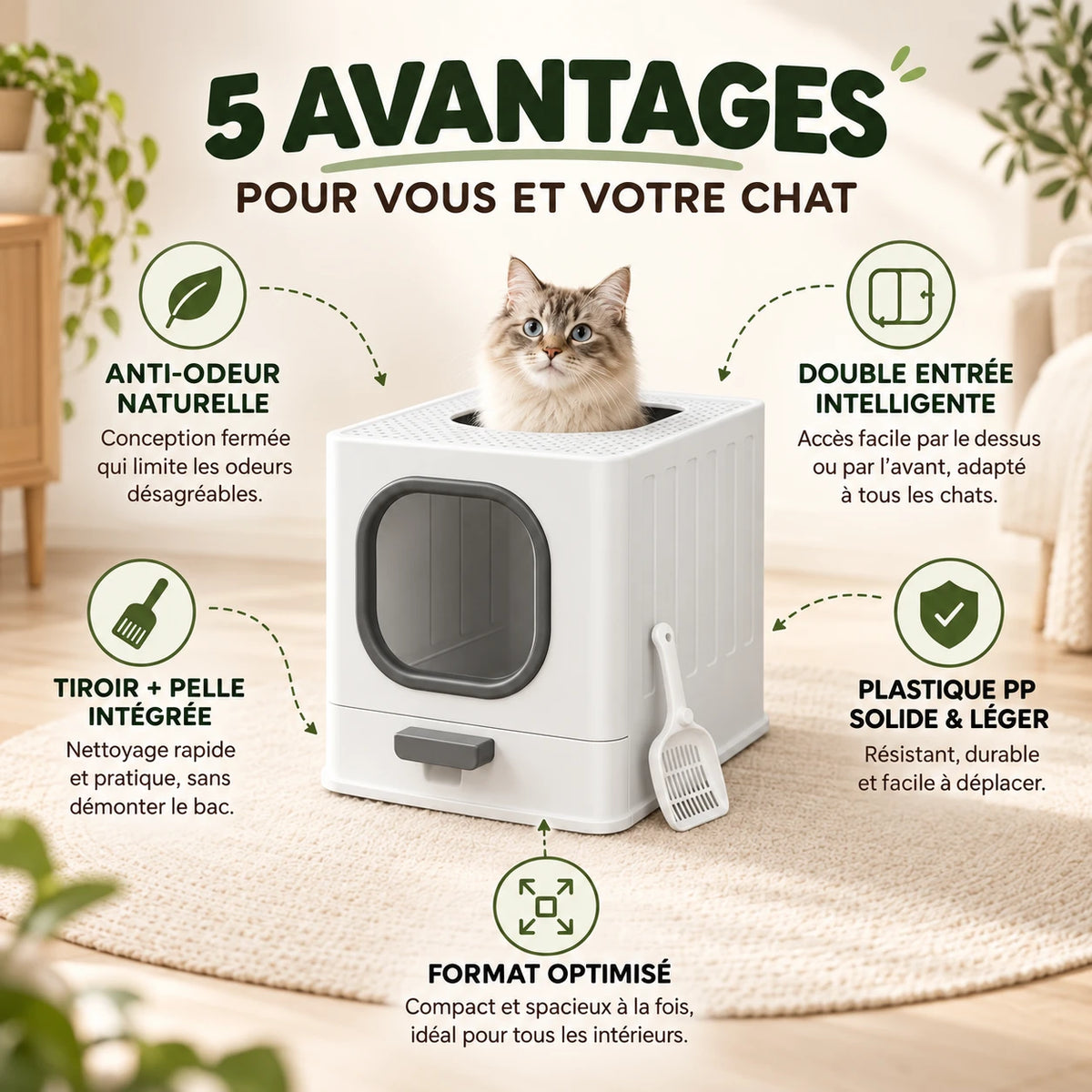 Un chat passant la tête par la trappe du toit de la maison de toilette, avec la pelle posée à côté