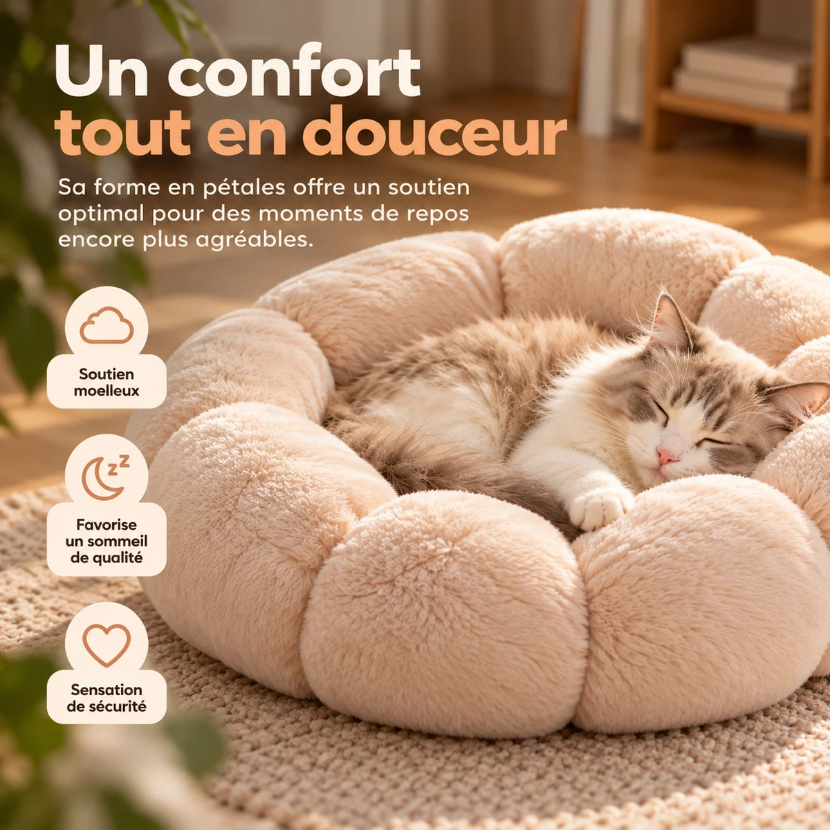 Chat endormi en boule dans le panier crème posé sur un tapis, pétales relevés autour de lui