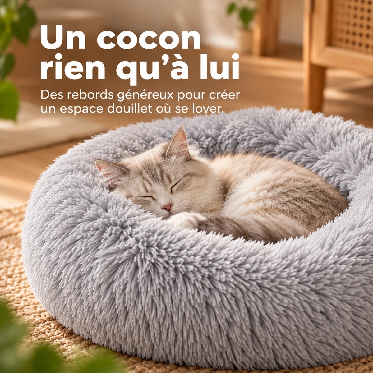 Chat tigré endormi en boule contre le rebord du panier, la tête posée dessus
