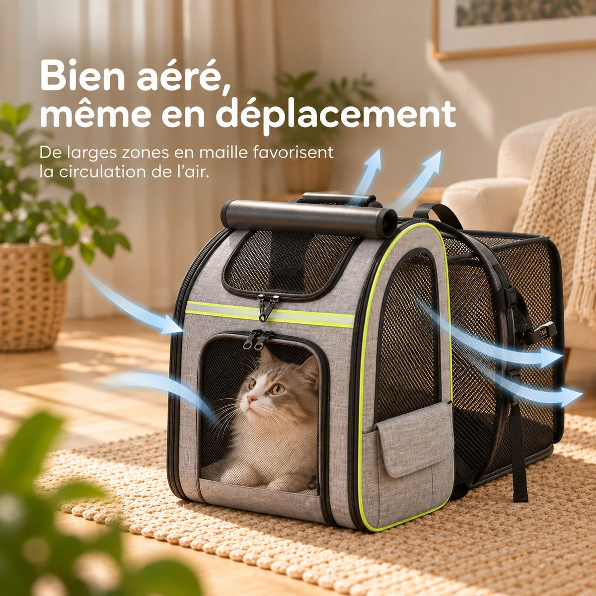 Chat installé dans le sac à dos, les panneaux en maille de l'avant et des côtés